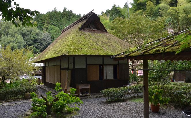 ほうじ茶ティーバッグ　やんたん　25P×3缶〈ほうじ茶 焙じ お茶 茶 ティバッグ ティーパック 加工食品〉 飲料類 