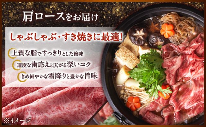 【A4〜A5】長崎和牛しゃぶしゃぶすき焼き用（肩ロース）500g（250g×2）/ 牛肉 ぎゅう肉 和牛 / 南島原市 / 株式会社MEAT PLUS[SHG040]