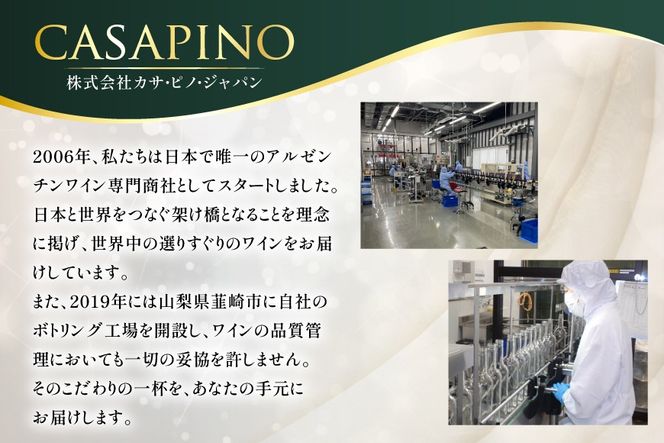 ワイン 赤 ブリサ・アンディーナ メルロー 500ml 12本 セット [カサ・ピノ・ジャパン 山梨県 韮崎市 20745346] ワインセット 山梨 酒 お酒 赤ワイン アルコール ぶどう 果実酒