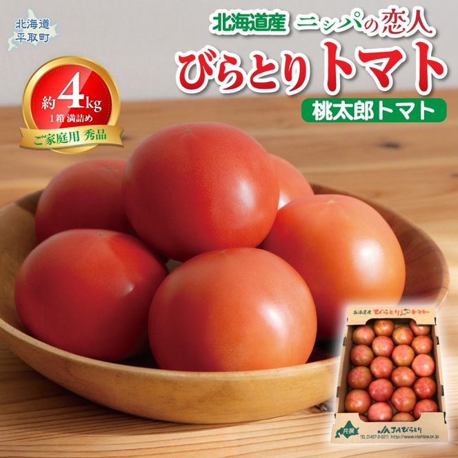 【先行予約/2026年6月以降発送】【家庭用】ニシパの恋人「びらとりトマト」秀品 1箱 約4kg（20～24個 満詰め） BRTO001