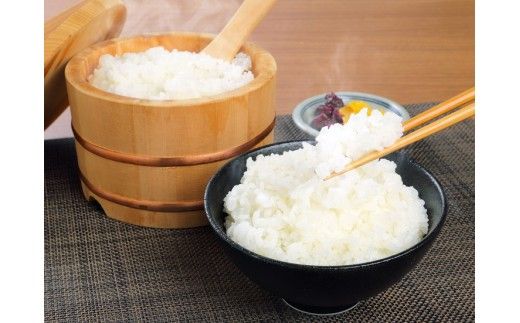 令和7年産　近江米 みずかがみ【10kg（5Kg×2袋）】環境こだわり米【AB61W】