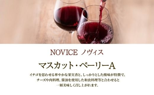 ワイン NOVICE 赤＆白 飲み比べ セット 720ml 各1本 計2本  フルボトル 甲州 マスカット ベーリーA ミディアム 辛口 日川中央葡萄酒 山梨県 笛吹市 177-7-20