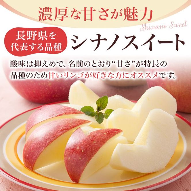 【2026年10月中旬～発送予定】 先行予約 りんご シナノスイート 秀品 約5kg 12～20玉入 長野県産 果物類 林檎  リンゴ フルーツ 