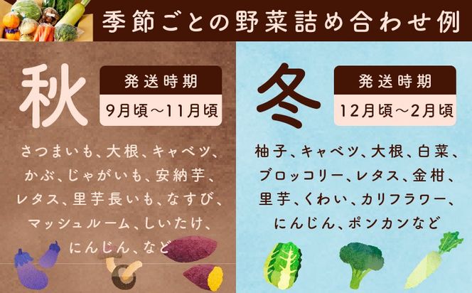 099H4172 旬の野菜セット 詰め合わせ 5種類 国産 新鮮 お試し おまかせ お楽しみ