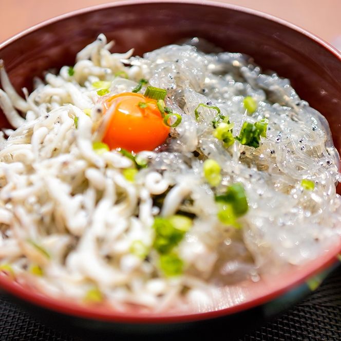漁協直営 かあちゃんの店 10,000円 お食事券 ご優待券 地魚 シラス 生シラス丼 漁師料理 旬の魚