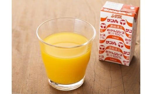 サンAみかんジュース100%　125ml紙パック×24本 【 ふるさと納税 飲料 オレンジ ジュース みかん ミカン 温州みかん 紙パック 送料無料 】 [C03025]