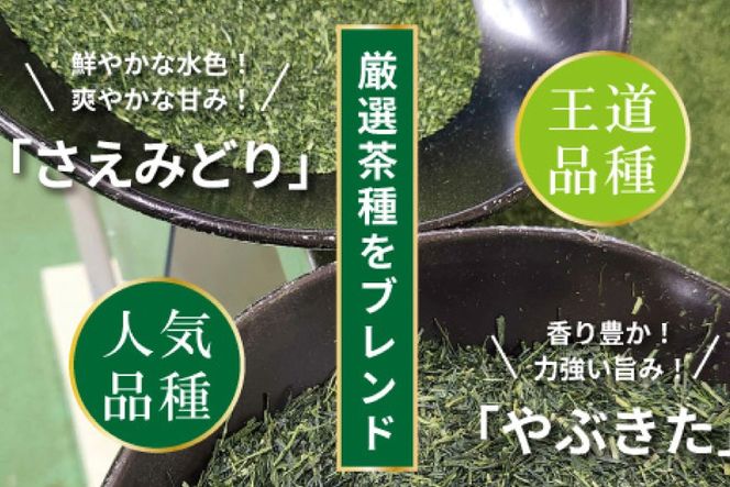 お茶 ティーバッグ 特撰 みやざき煎茶 5袋 セット [谷岩茶舗 宮崎県 日向市 452061643] ティーパック 茶 茶葉 緑茶 新茶 お茶の葉