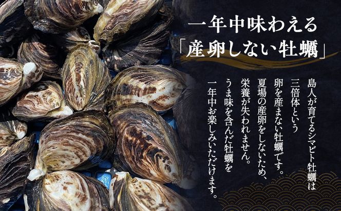 【 小豆島 】小豆島産 シマビト牡蠣　生食用殻付き牡蠣　20個　2026年1月8日以降発送 牡蠣 カキ 生牡蠣 生食用 殻付き 