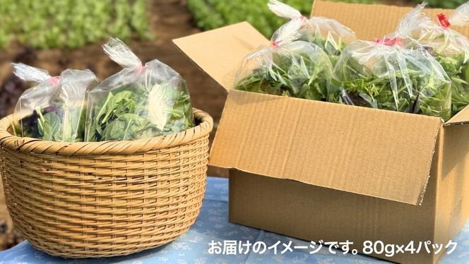 【 定期便 】3か月連続でお届け！ 黒澤農園 の ベビーリーフサラダ （ 80g × 4パック ）ファミリーサイズ ベビーリーフ サラダ 生野菜 食べやすい 若葉 ファミリー 旬 新鮮 国産 彩り 頒布会 野菜 葉野菜 国産 直送 定期 [DS04-NT]