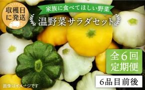 【全6回定期便】朝採れ 温野菜 サラダ セット （6品前後） 《糸島》【オーガニックナガミツファーム】 [AGE020] 野菜セット 野菜 やさい サラダ 詰め合わせ トマト とまと 野菜野菜セット 野菜やさい 野菜サラダ 野菜詰め合わせ 野菜トマト 野菜とまと 野菜ベビーリーフ 野菜水菜 野菜ハーブ 野菜オクラ 野菜人参 野菜にんじん 野菜ニンジン 野菜ほうれん草 野菜クレソン 野菜かぼちゃ 野菜カボチャ 野菜じゃがいも 野菜玉ねぎ