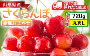 FYN6-632 ≪2027年先行予約≫ご家庭用 山形県産 品種おまかせ さくらんぼ(佐藤錦・紅秀峰など) 720g(180g×4パック) 丸秀品 L以上 フードパック詰め 2027年6月中旬から順次発送 果物 くだもの フルーツ サクランボ チェリー 自宅 家庭 産地直送 山形県 西川町 月山