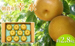 梨 幸水 2.8kg 2027年 発送 なし フルーツ 果物 くだもの デザート 筑前あさくら農協 配送不可 離島