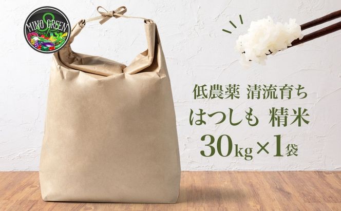 ＜先行予約＞令和8年産 はつしも 精米 30kg×1袋 低農薬 新米 お米 白米 米 ごはん 米 ご飯 ハツシモ R8年産 あっさり ブランド米 お取り寄せ 産地直送 送料無料 美濃グリーン 岐阜県 美濃市