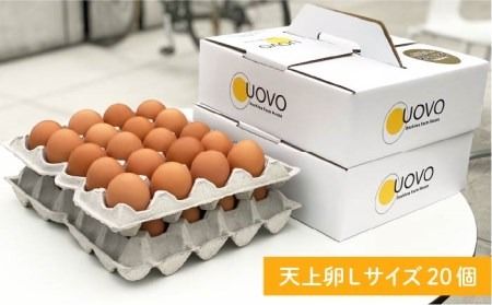 たまごかけご飯 セット ★ 卵 20個 / お米 5kg / たまごかけ ご飯 専用 醤油 《糸島》【株式会社おおはまファーム】 [AKH012]