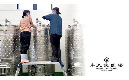 【 数量限定 】エピヌ メルロ 2021 茨城県産 牛久醸造場 日本ワイン 赤ワイン 750ml × 1本 やや辛口 ミディアムボディ お酒 贈り物 ラズベリー [BJ017us]