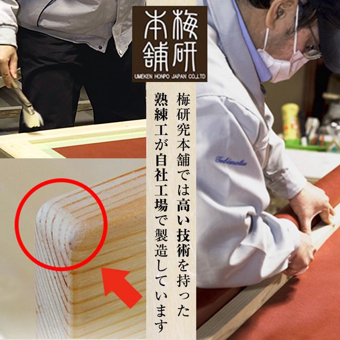 ＜設置式＞富士山溶岩浴ベッド(1台) 溶岩 溶岩浴 家庭用 岩盤浴 家庭用岩盤浴 自宅用 ベッド 【梅研本舗ジャパン】akn047-25