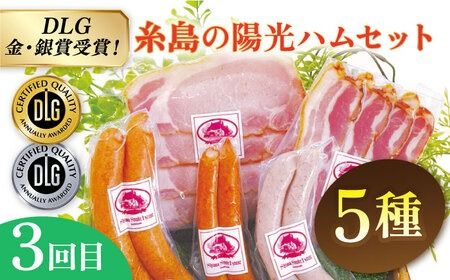 【全3回定期便】 ウインナー / ハンバーグ / ハム 月替り セット 糸島市 / 志摩スモークハウス 生ハム ベーコン[AOA038] 