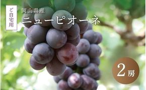 真庭市産 ニューピオーネ 自宅用 2房 / (2026年8月中旬以降発送予定) ぶどう 自宅用 訳あり 岡山 真庭 ピオーネ 真庭市 大粒 葡萄 果物 フルーツ 産地直送 新鮮 濃厚 ピオーネ 人気 数量限定 お買い得 岡山名産 スイーツ 種なし 【配送不可地域：北海道／沖縄県／離島】 【jujy015-02】