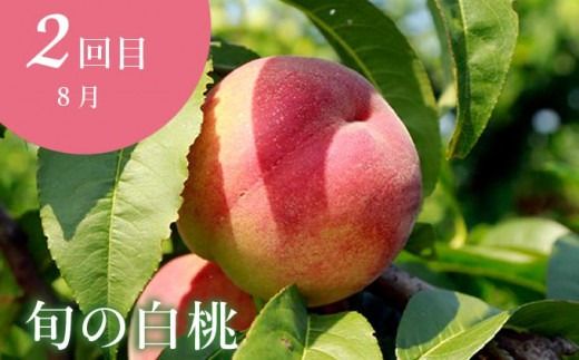 ［年5回定期便］ 小布施町の人気フルーツ定期便 年5回コース ［小布施屋］定期便 頒布会 フルーツ 果物 長野県産 令和7年産 【2025年6月中旬～2026年2月発送】［E-8］