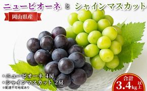 どう 【2026年 先行予約】 ニュー ピオーネ 4房と シャインマスカット 2房(合計3.4kg以上) マスカット ブドウ 葡萄　岡山県産 国産 フルーツ 果物 ギフト