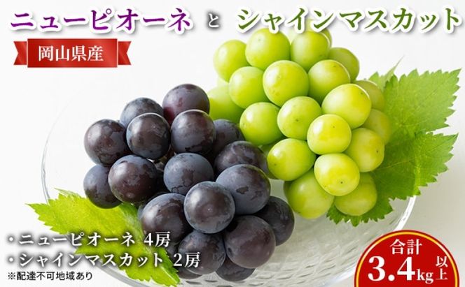 どう 【2026年 先行予約】 ニュー ピオーネ 4房と シャインマスカット 2房(合計3.4kg以上) マスカット ブドウ 葡萄　岡山県産 国産 フルーツ 果物 ギフト