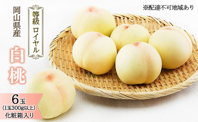桃 2026年 先行予約 白桃 6玉 （1玉300g以上） 等級：ロイヤル 化粧箱入り もも モモ 岡山県産 国産 フルーツ 果物 ギフト 贈答品 糖度12.0度以上