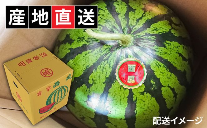【2027年6月～発送】【大玉】 スイカ 羅皇 (ラオウ) 1玉 / すいか 南島原市 / ふるさと企画 [SBA013] 
