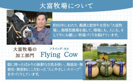 【選べる内容量/種類】大富牧場の無添加ヨーグルト（プレーン/グリークヨーグルト）