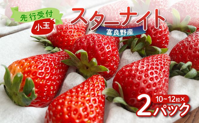 【2026年先行予約】 富良野産 いちご スターナイト 小玉 10～12粒×2パック　［ フルーツ 果物 新鮮 贈り物 ギフト フルーツ 生いちご イチゴ 苺 大粒 甘い 道産 北海道 富良野 ］