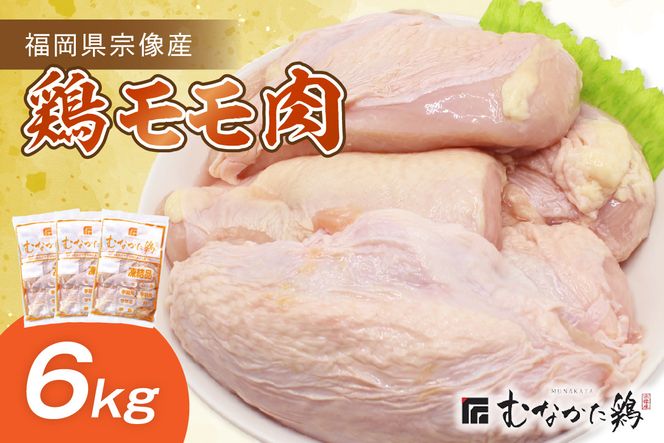 宗像産ブランド鶏【むなかた鶏】モモ肉6kg（平飼い）【JAほたるの里】_HA1415