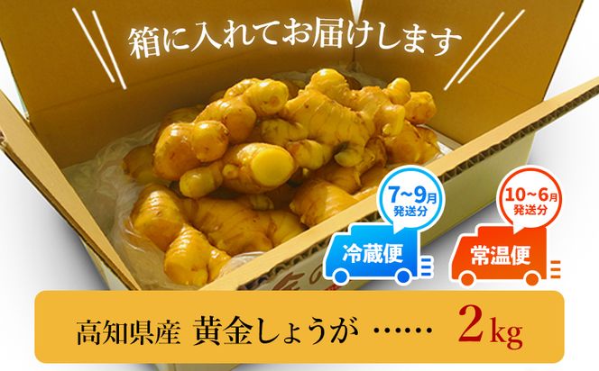 生姜一筋70年の生姜老舗問屋 黄金しょうが2kg - 【7日程度で発送】 早い スピード発送 7日程度 早く 届く 生姜 生産量日本一 おかず お料理 しょうが 料理 飲み物 Xnb-0007