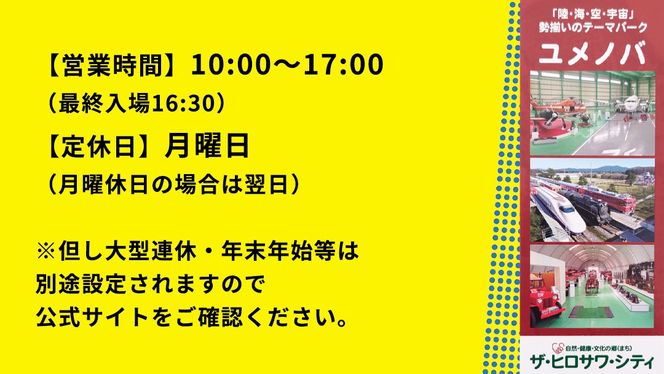 陸・海・空・宇宙の テーマパーク ユメノバ 入場券 （大人1枚） ザ・ヒロサワ・シティ チケット レジャー ヒロサワシティ お出かけ 夏休み 冬休み [DP009ci]