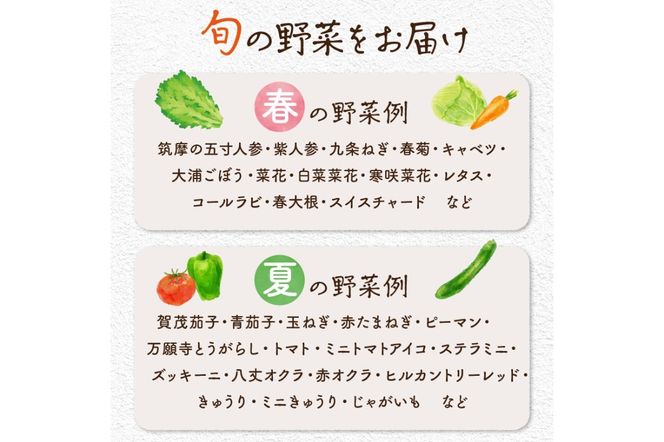 【数量限定】自然栽培野菜セット（団らん）　AB00007