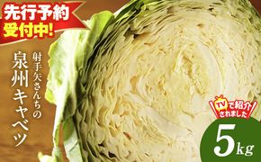G3684 【先行予約】泉州キャベツ 5kg 2～5玉 射手矢農園 訳あり サイズ不揃い【家計応援 新鮮 野菜 やさい 高評価 数量限定 TVで紹介！】