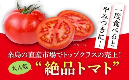 【全3回定期便】糸島産 絶品トマト かれん (4kg28玉前後) 糸島市 / シーブ 野菜 とまと[AHC066] トマト糸島市内の直産市場でもトップクラスの売り上げ！！