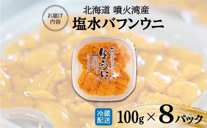 北海道 噴火湾産 塩水 バフンウニ 100g 8パック 計800g うに ウニ 雲丹 海鮮 海の幸 魚介類 ウニ丼 お寿司 濃厚 無添加 産地直送 お取り寄せ 山村水産 送料無料 【55250873】