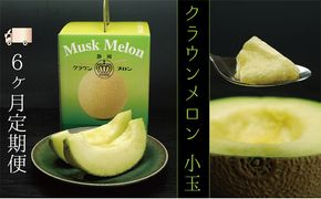 【6ヶ月定期便】クラウンメロン（白等級）小玉　１玉入 果物類 メロン青肉 