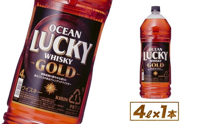 yÉaszLECXL[@I[VbL[S[h@4000ml×1{ y@AR[z