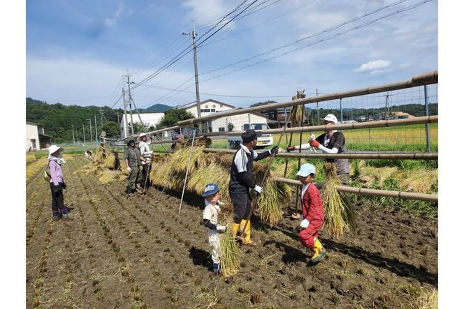 2025年産 京丹後産稲作発祥の地コシヒカリ特別栽培米 月の輪田米 精米10kg（天日干し）　WK00004