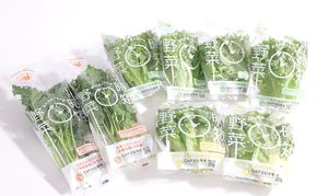 なばリーフ アソート セット フリルレタス 3p グリーンリーフレタス 2p ケール 2p 計7p入/ 水耕栽培 時短 野菜 レタス 特殊フィルム包装 新鮮 洗わずに食べられる サラダ お鍋 スープ サンドウィッチ 炒め物 煮物 サラダ 手軽 安全 安心 栄養 健康