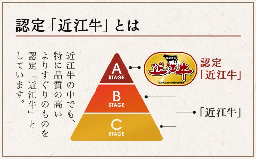 【げんさん】近江牛A5ランク切落し【500g】【訳あり】【DG12W】
