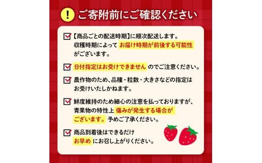 【先行予約 : 2026年1月～2026年2月発送予定 】 いちご きらぴ香 約1kg 約250g×4パック 朝どれ 完熟 苺 産地 直送 フレッシュ イチゴ 贈答 フルーツ 果物 国産 静岡県 藤枝市 ふるさと人気 ふるさとおすすめ