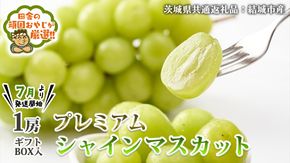 プレミアム シャインマスカット 1房 ギフトBOX入り 【2025年7月より発送開始】田舎の頑固おやじが厳選！（茨城県共通返礼品 [ぶどう]：結城市産） 茨城県 県産 つくばみらい市 人気 厳選 果物 くだもの 旬 旬の果物 旬のフルーツ マスカット ぶどう ブドウ ギフト 贈り物 プレゼント ボックス入り [BI236-NT]