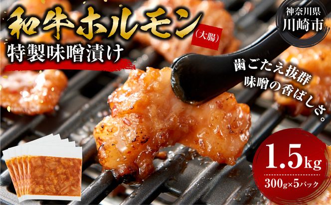 ＜訳アリ＞和牛ホルモン（大腸）　特製味噌漬け　1.5kg(300g×5）【12月発送】 【kw0096-0032-12】