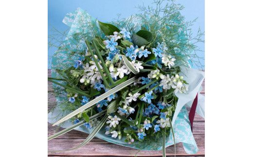 【CF-R7hbk】JJM002　《先行予約》芸西村特産ブルースター花束（約30本程度の花束）