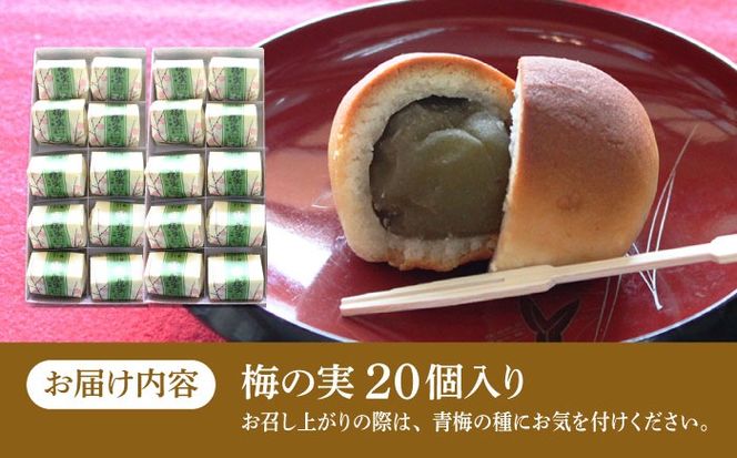 【老舗の菓子屋】築上銘菓「 梅の実 」20 個《築上町》【有限会社 御菓子司 鹿の子】[ABAC020]