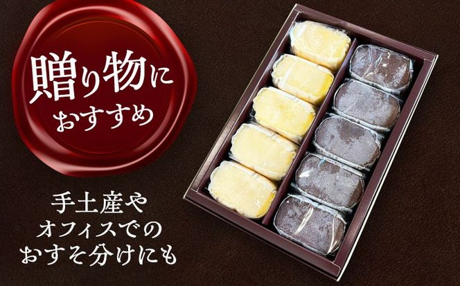 半熟スフレ　10個  お菓子  愛西市 / 有限会社モンシェリー 【配達不可：離島】[AEBB018]