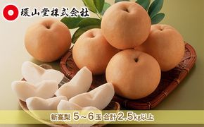 梨 2026年 先行予約 新高 梨 5～6玉 合計2.5kg以上 なし ナシ 岡山県産 国産 フルーツ 果物 ギフト 環山堂 大きさ 形 おいしさ 王様 みずみずしく 上品 風味 シャリシャリ 甘い 