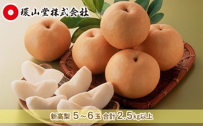 梨 2026年 先行予約 新高 梨 5～6玉 合計2.5kg以上 なし ナシ 岡山県産 国産 フルーツ 果物 ギフト 環山堂 大きさ 形 おいしさ 王様 みずみずしく 上品 風味 シャリシャリ 甘い 