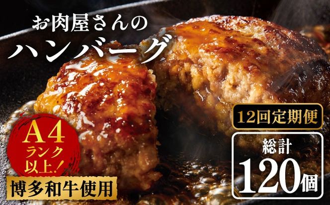 yz㒬zyS12ցzy`Iza ̎育  no[O 10sz㒬tyMEAT PLUSz[ABBP075]